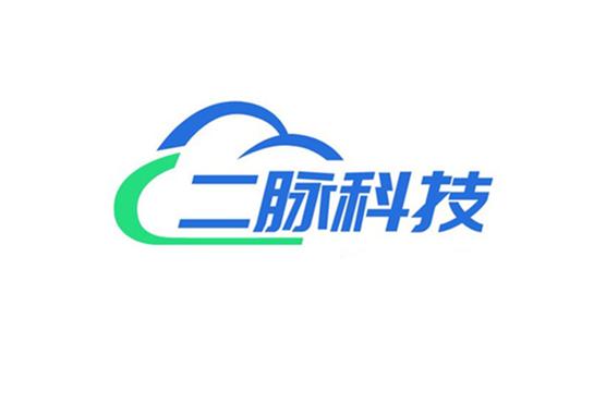 聚焦科技前沿，賦能企業(yè)數(shù)字化轉(zhuǎn)型——探析張澤端公司的業(yè)務布局與發(fā)展路徑